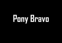 ponybravo.jpg