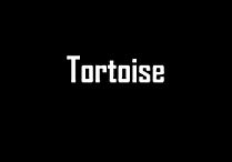 tortoise.jpg