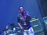 sonar2004_nnoci_IMG_2154_rootsmanuva.jpg